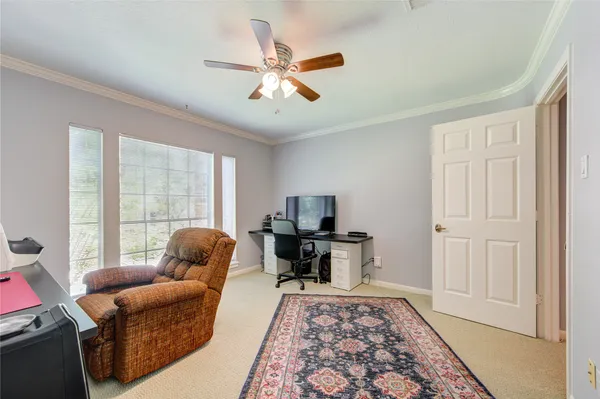 a living room with furniture and a rug