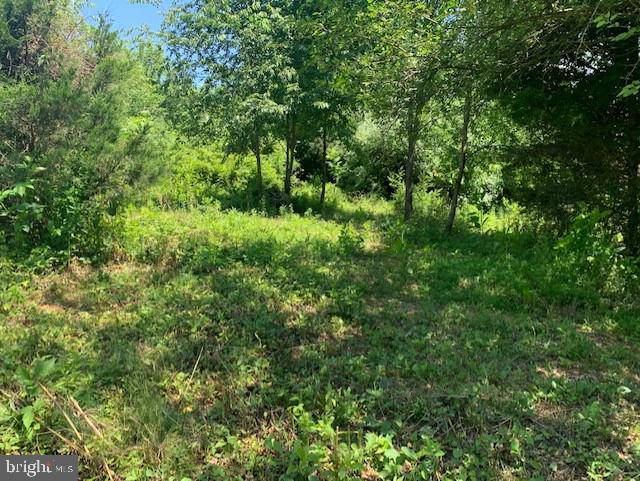 75 Poplar Springs Road Orrtanna, PA 17353 - Photo 19 of 27 Gallery Image 19