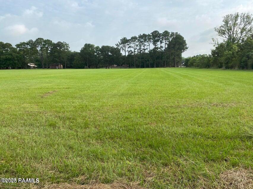 701 Hollier Road Duson, LA 70529 - Photo 2 of 2
