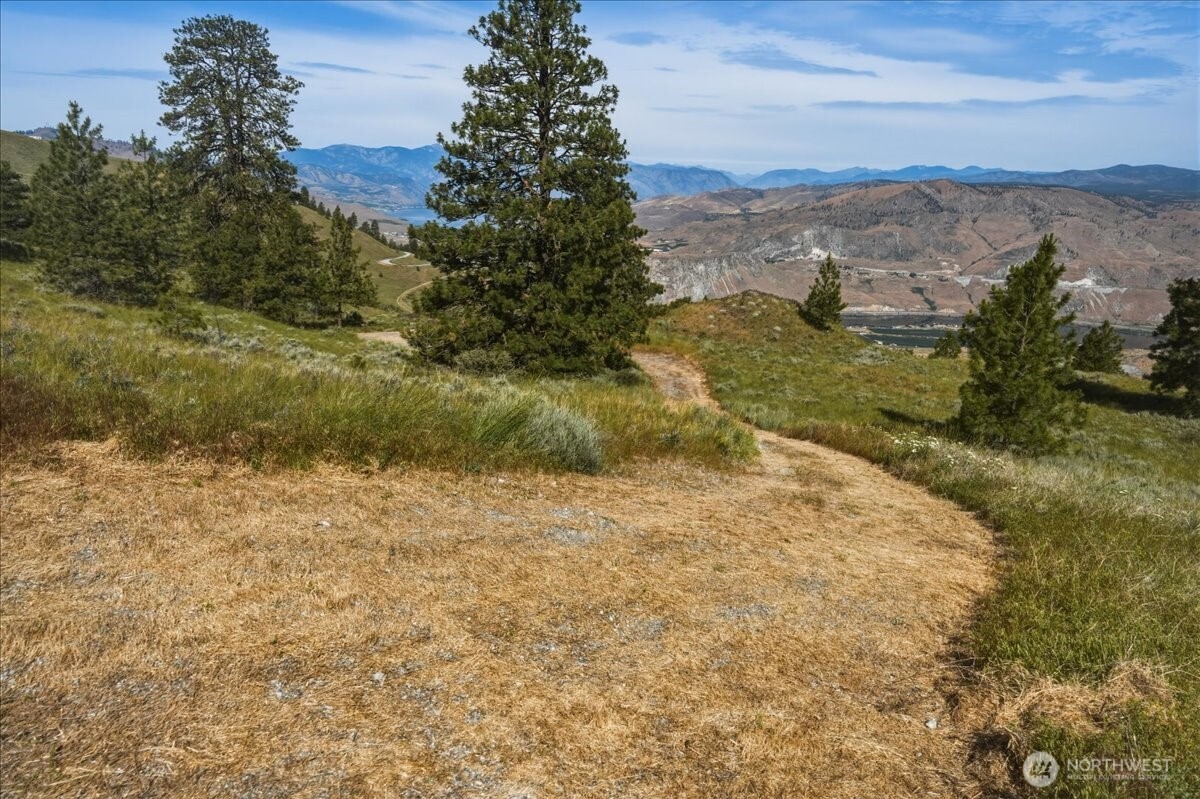 85 Eagles Nest Road Orondo, WA 98843 - Photo 11 of 36