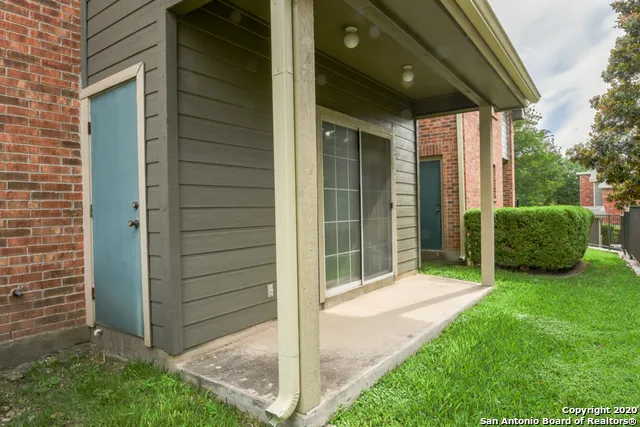 a view of a trees in a yard