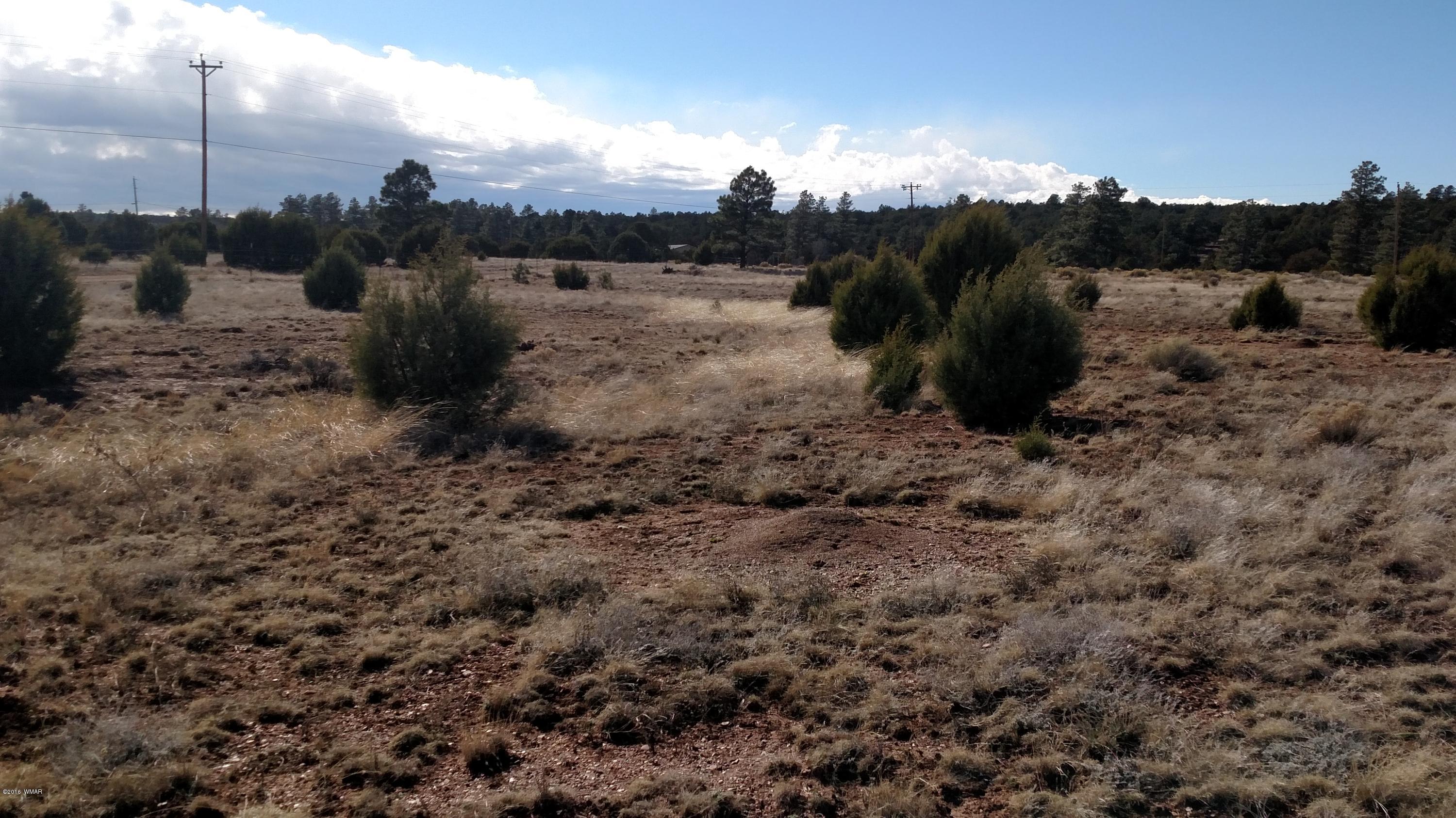 6 B Field Overgaard, AZ 85933 - Photo 11 of 19