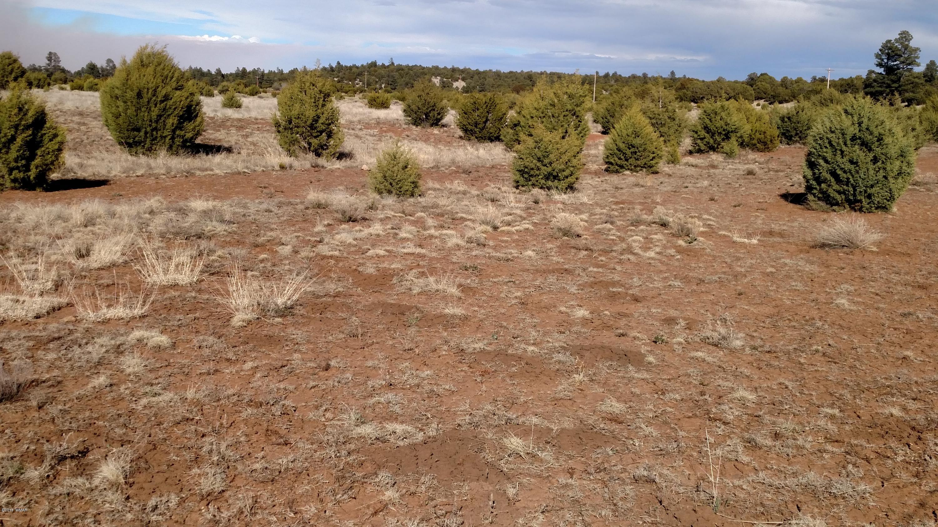 6 B Field Overgaard, AZ 85933 - Photo 12 of 19