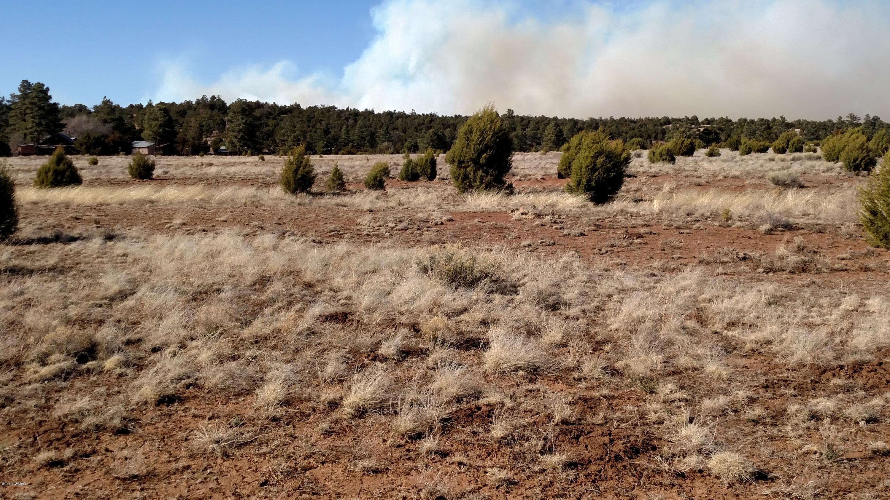 6 B Field Overgaard, AZ 85933 - Photo 13 of 19