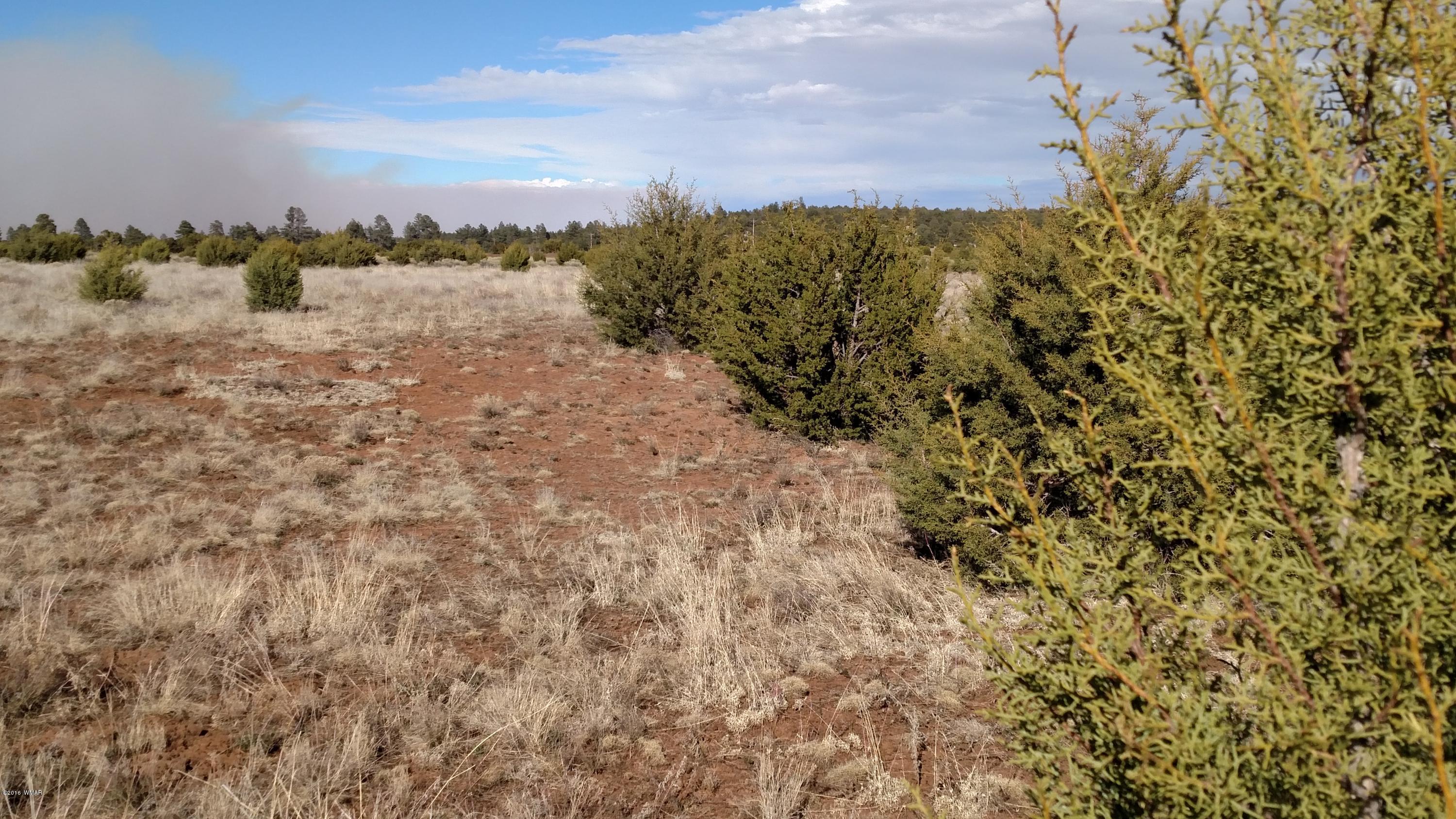 6 B Field Overgaard, AZ 85933 - Photo 14 of 19