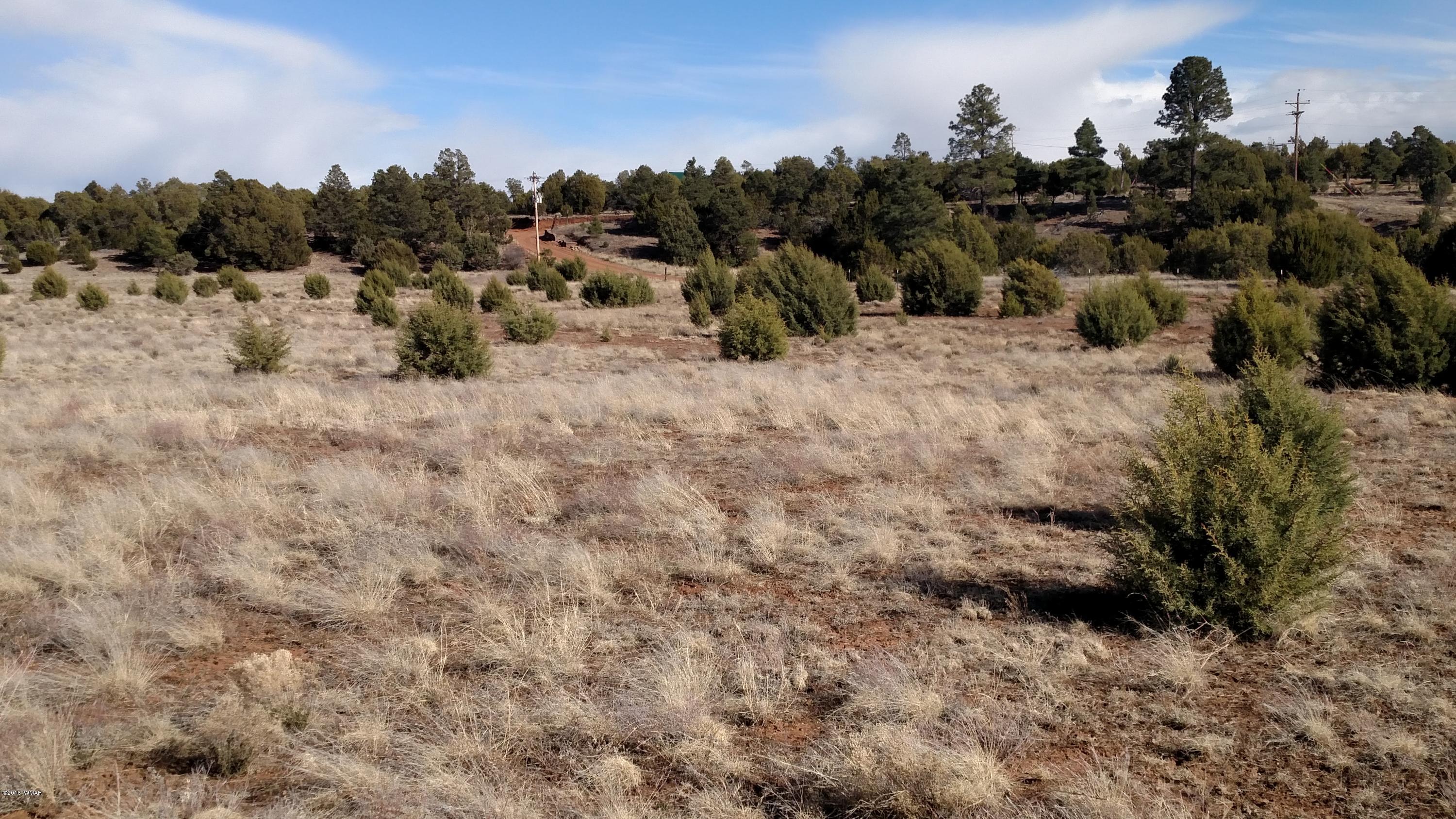 6 B Field Overgaard, AZ 85933 - Photo 15 of 19