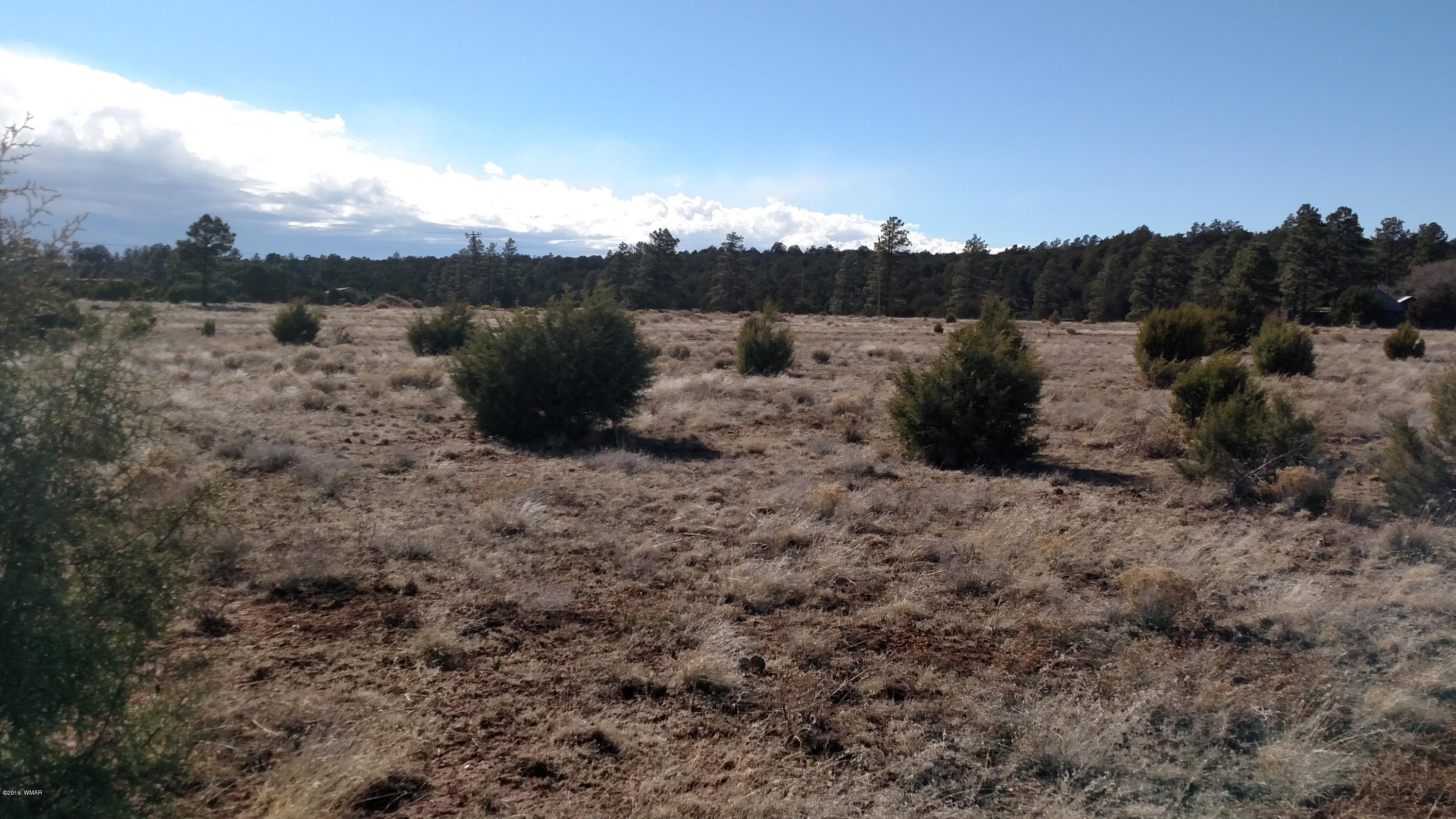 6 B Field Overgaard, AZ 85933 - Photo 16 of 19