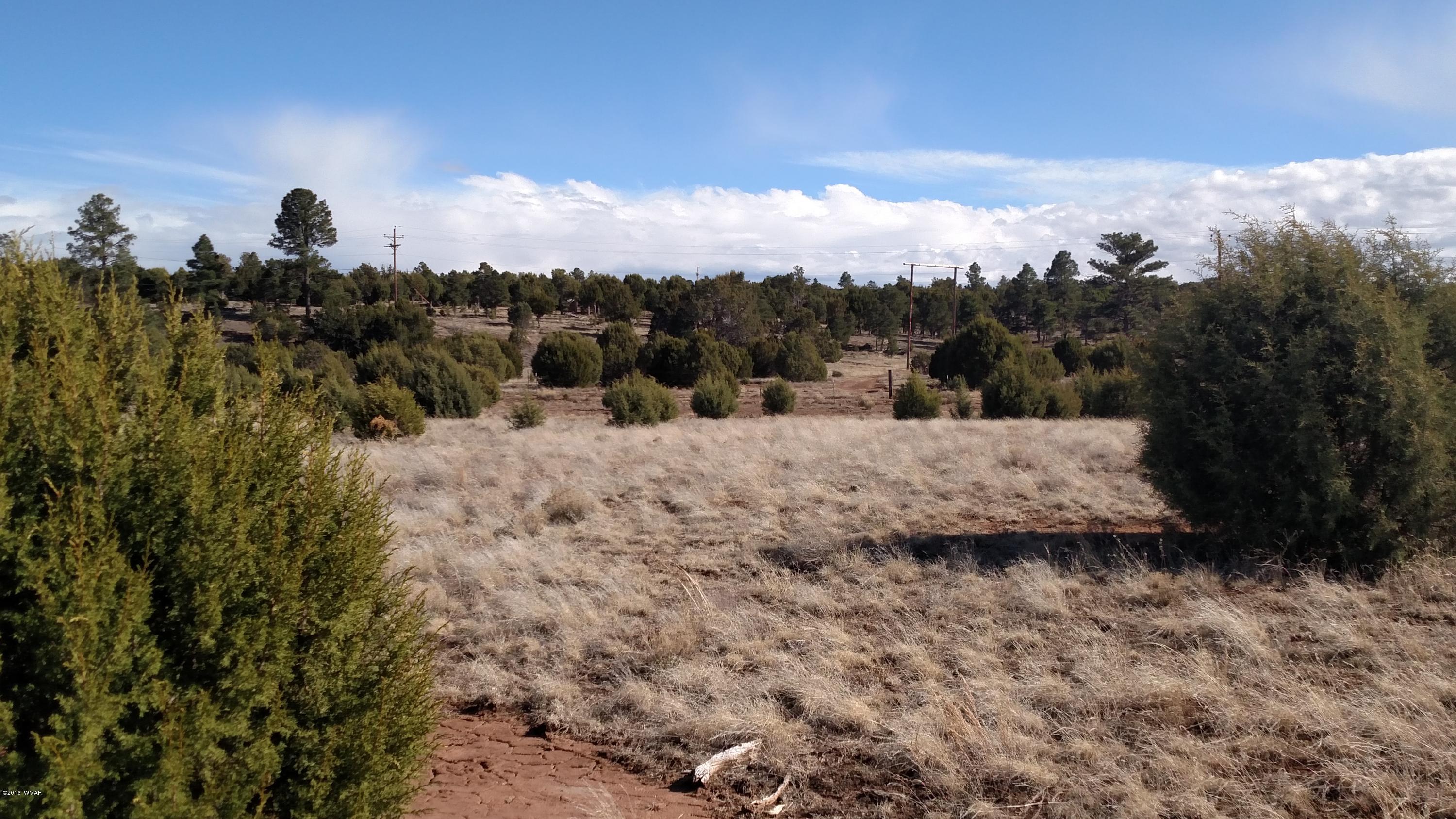 6 B Field Overgaard, AZ 85933 - Photo 17 of 19
