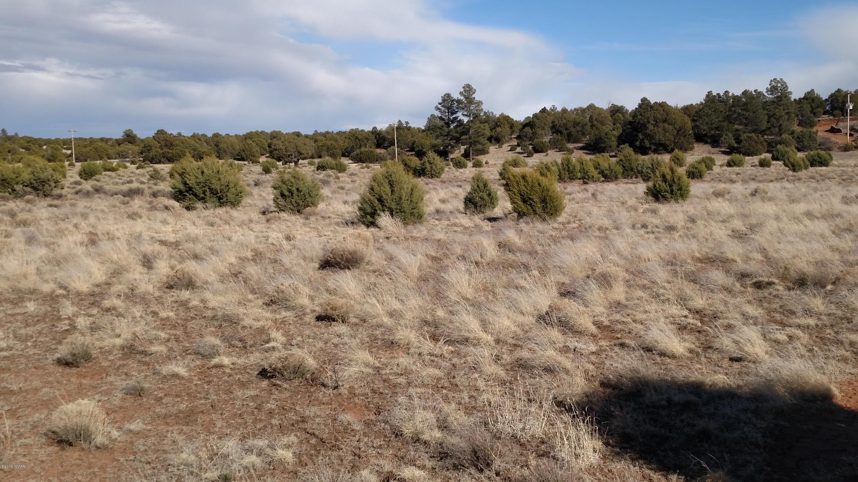 6 B Field Overgaard, AZ 85933 - Photo 18 of 19