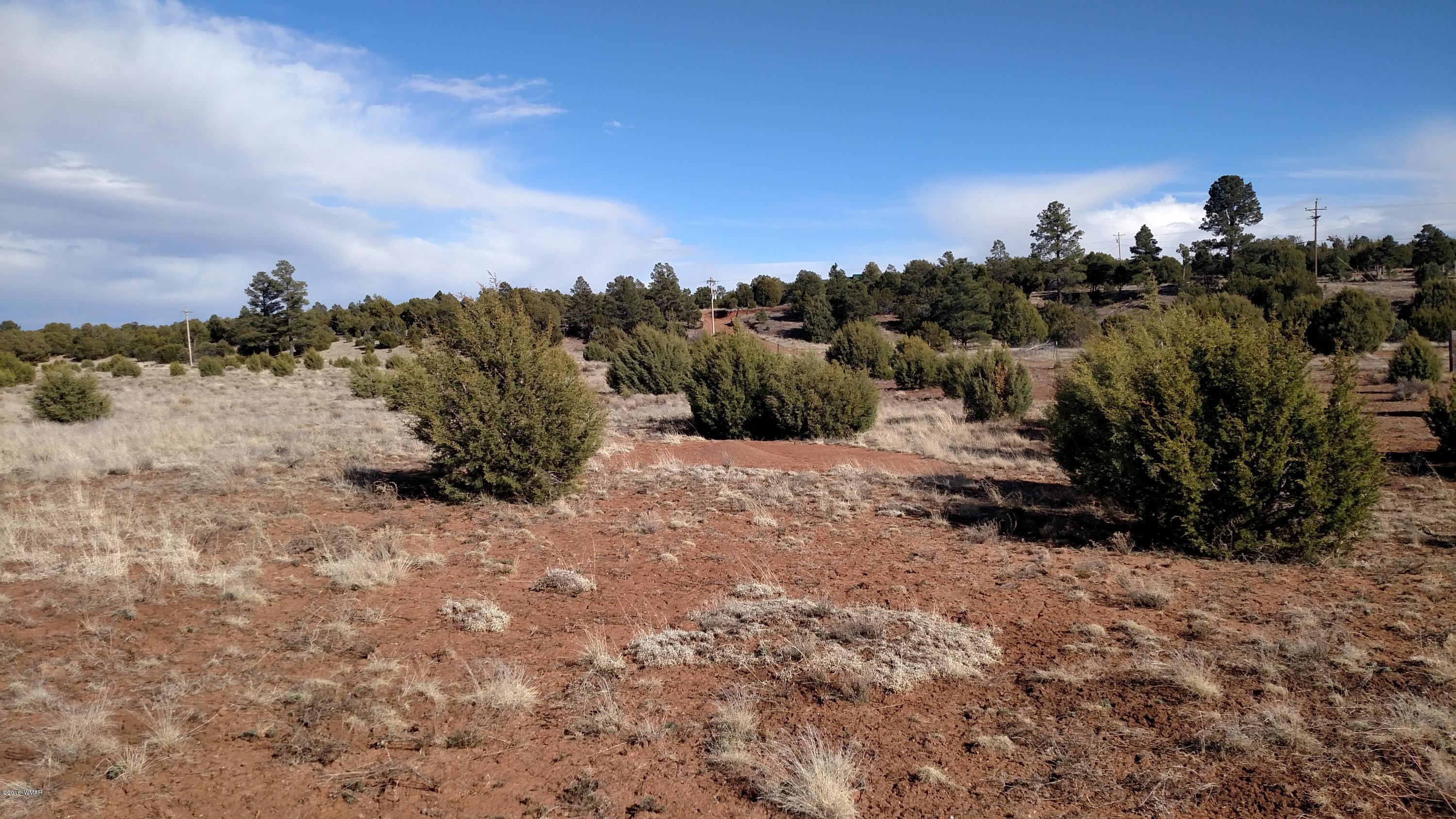 6 B Field Overgaard, AZ 85933 - Photo 19 of 19