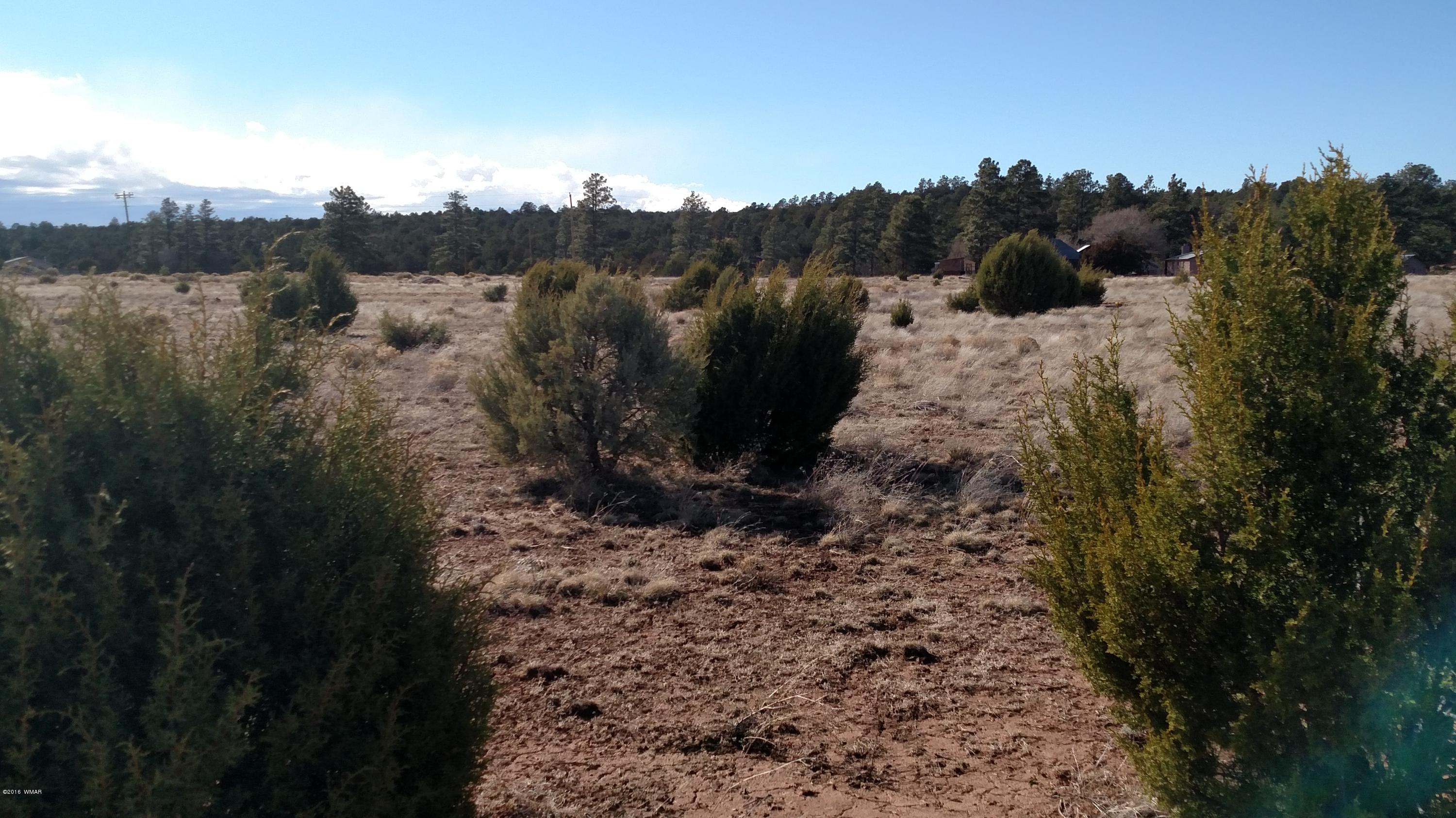 6 B Field Overgaard, AZ 85933 - Photo 2 of 19
