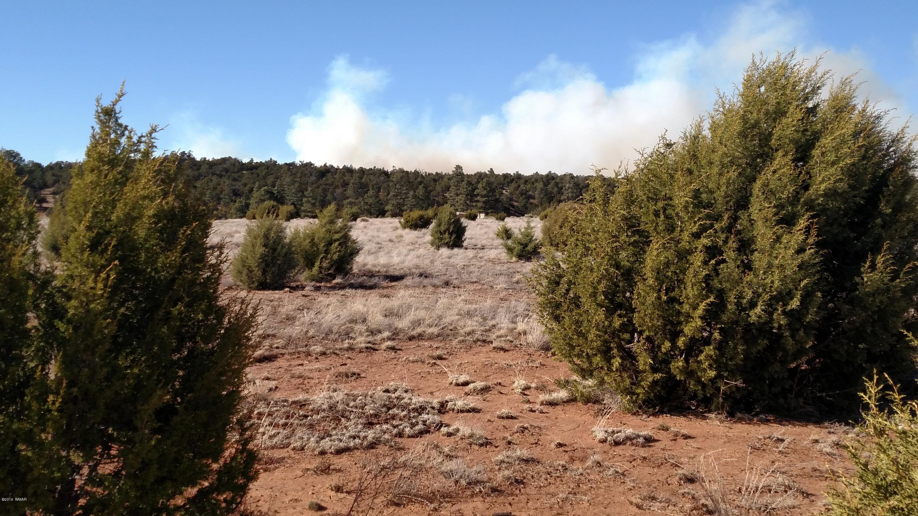 6 B Field Overgaard, AZ 85933 - Photo 3 of 19