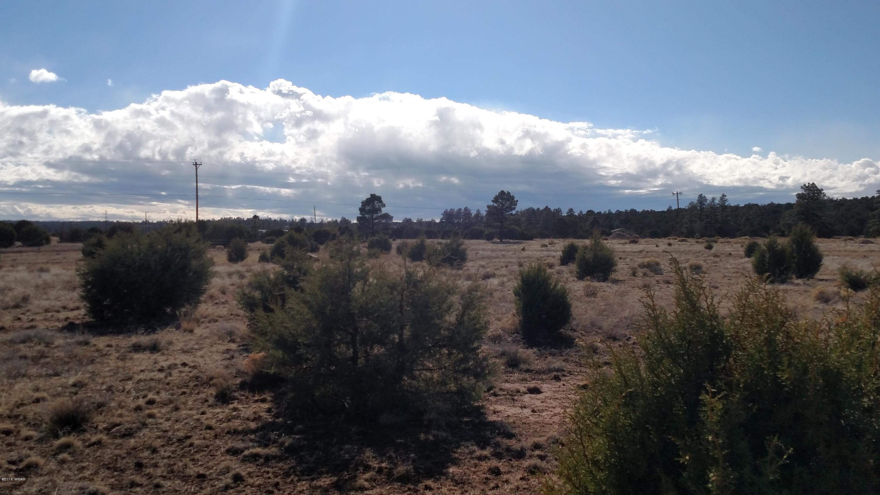6 B Field Overgaard, AZ 85933 - Photo 4 of 19