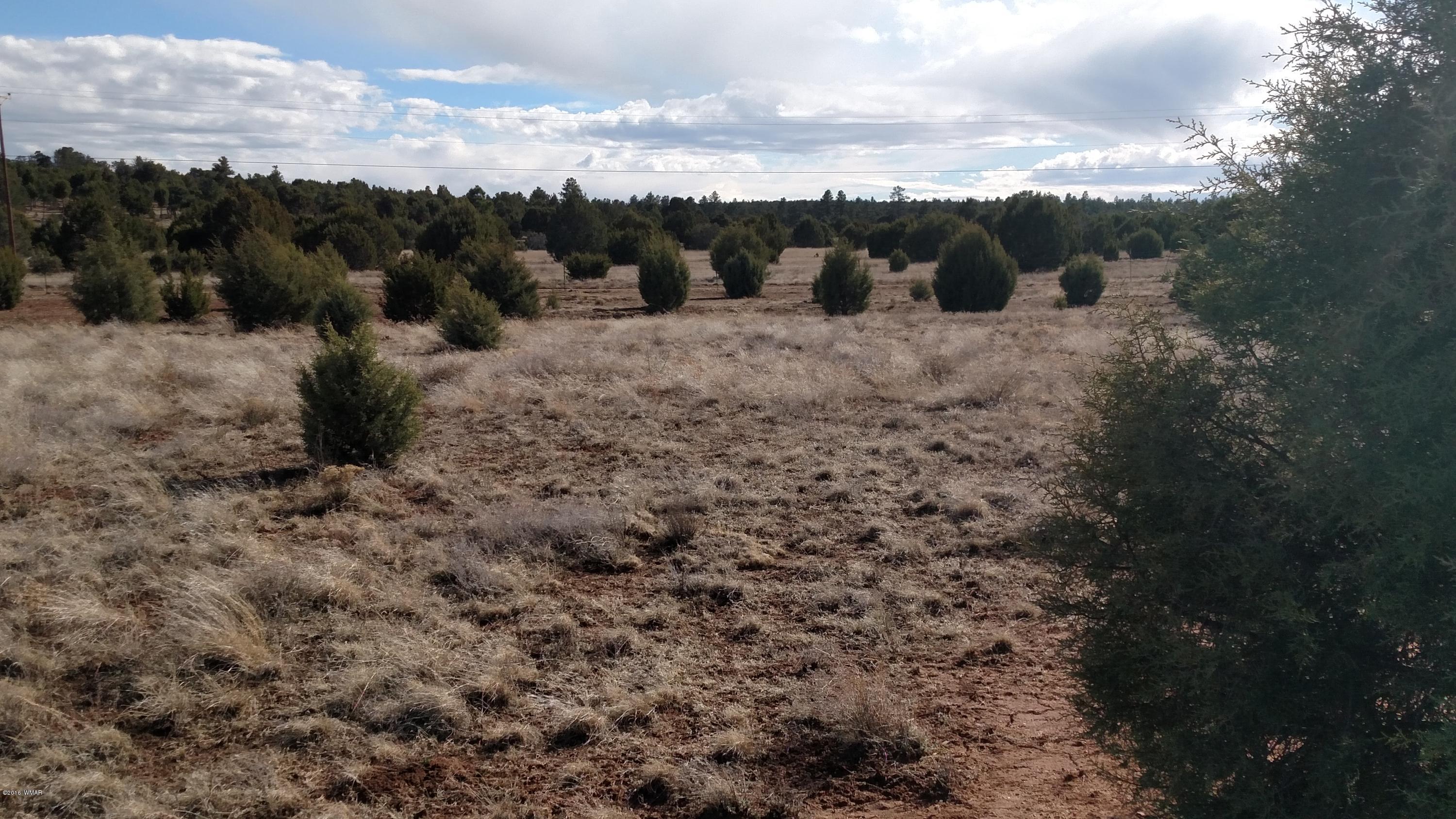 6 B Field Overgaard, AZ 85933 - Photo 5 of 19