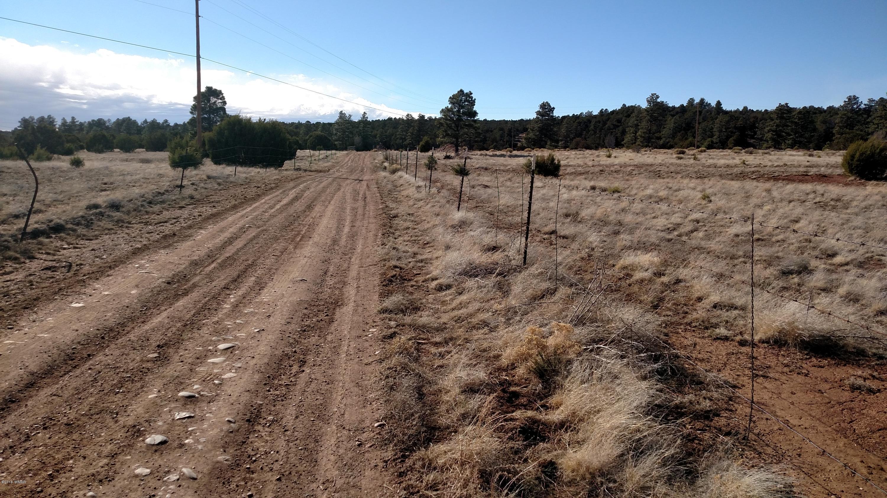 6 B Field Overgaard, AZ 85933 - Photo 6 of 19