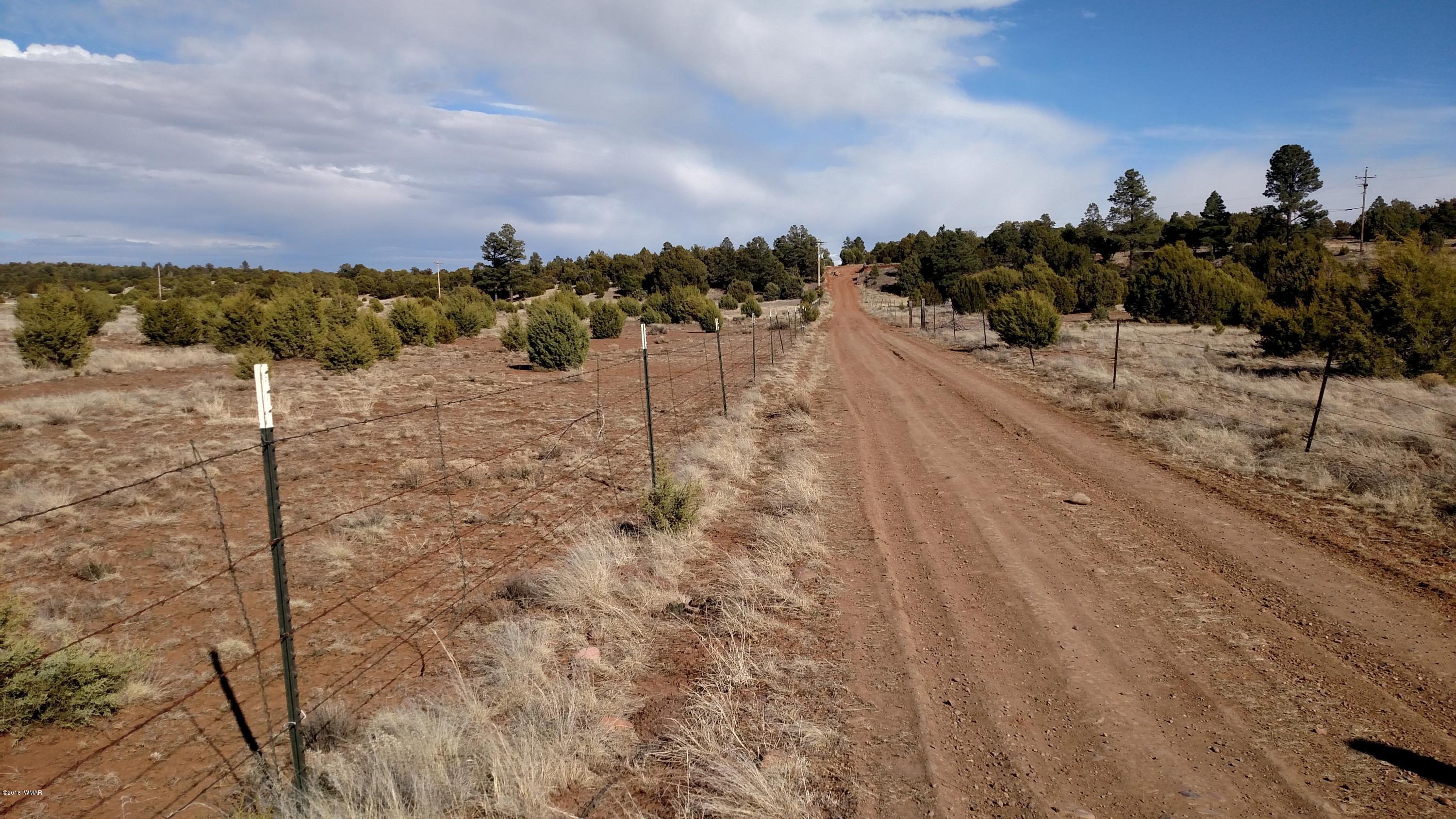 6 B Field Overgaard, AZ 85933 - Photo 7 of 19