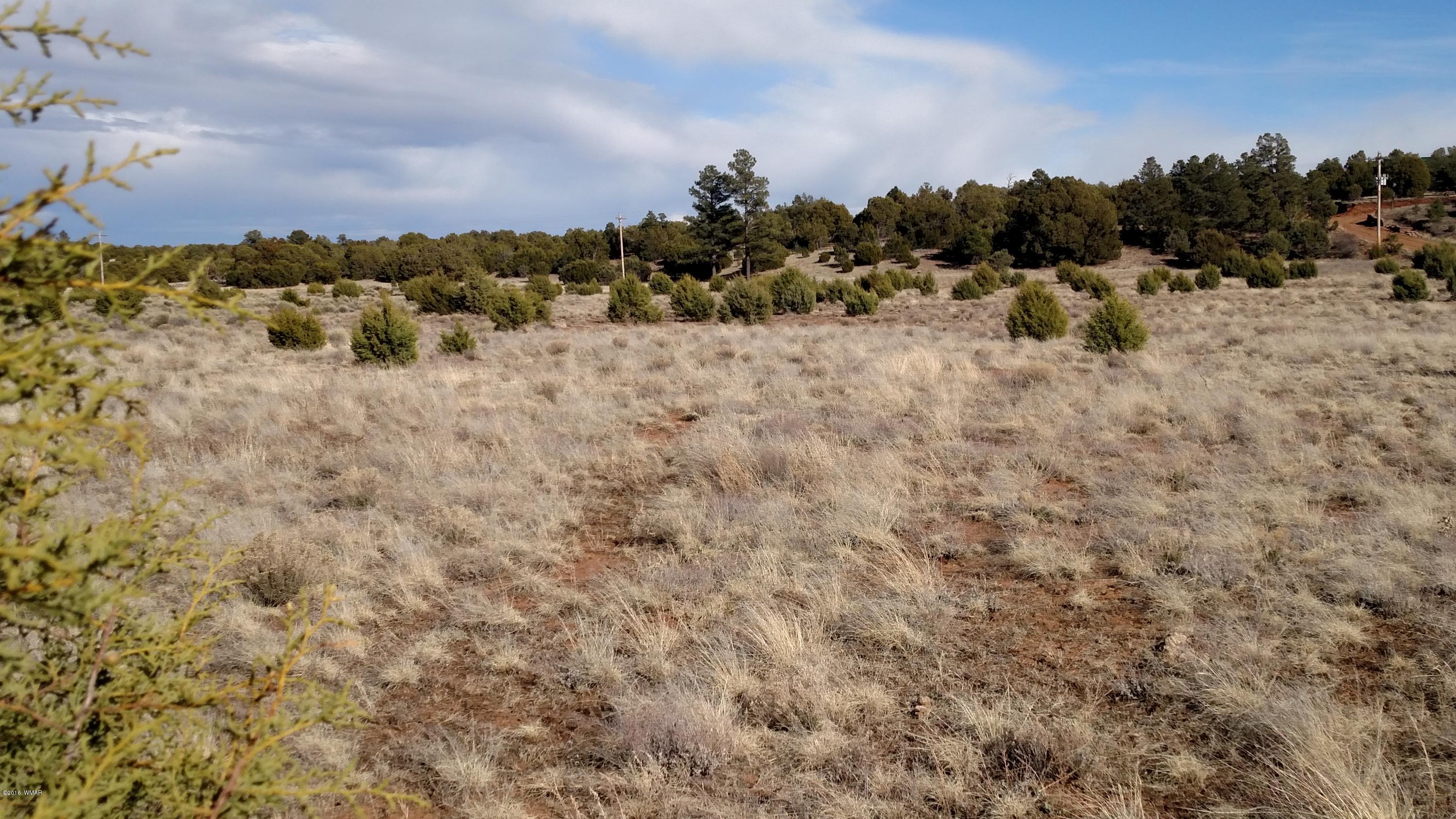 6 B Field Overgaard, AZ 85933 - Photo 8 of 19
