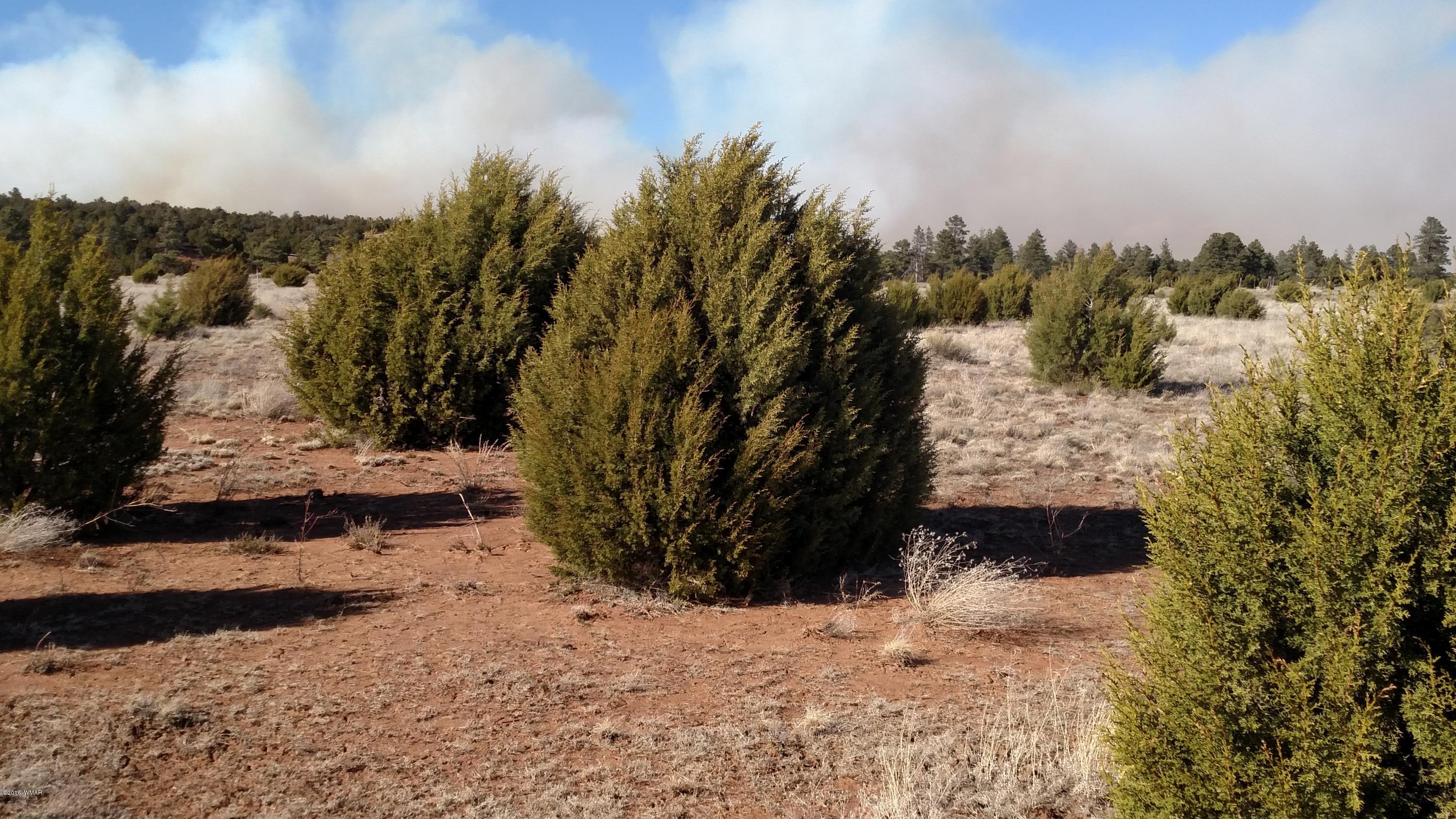 6 B Field Overgaard, AZ 85933 - Photo 9 of 19