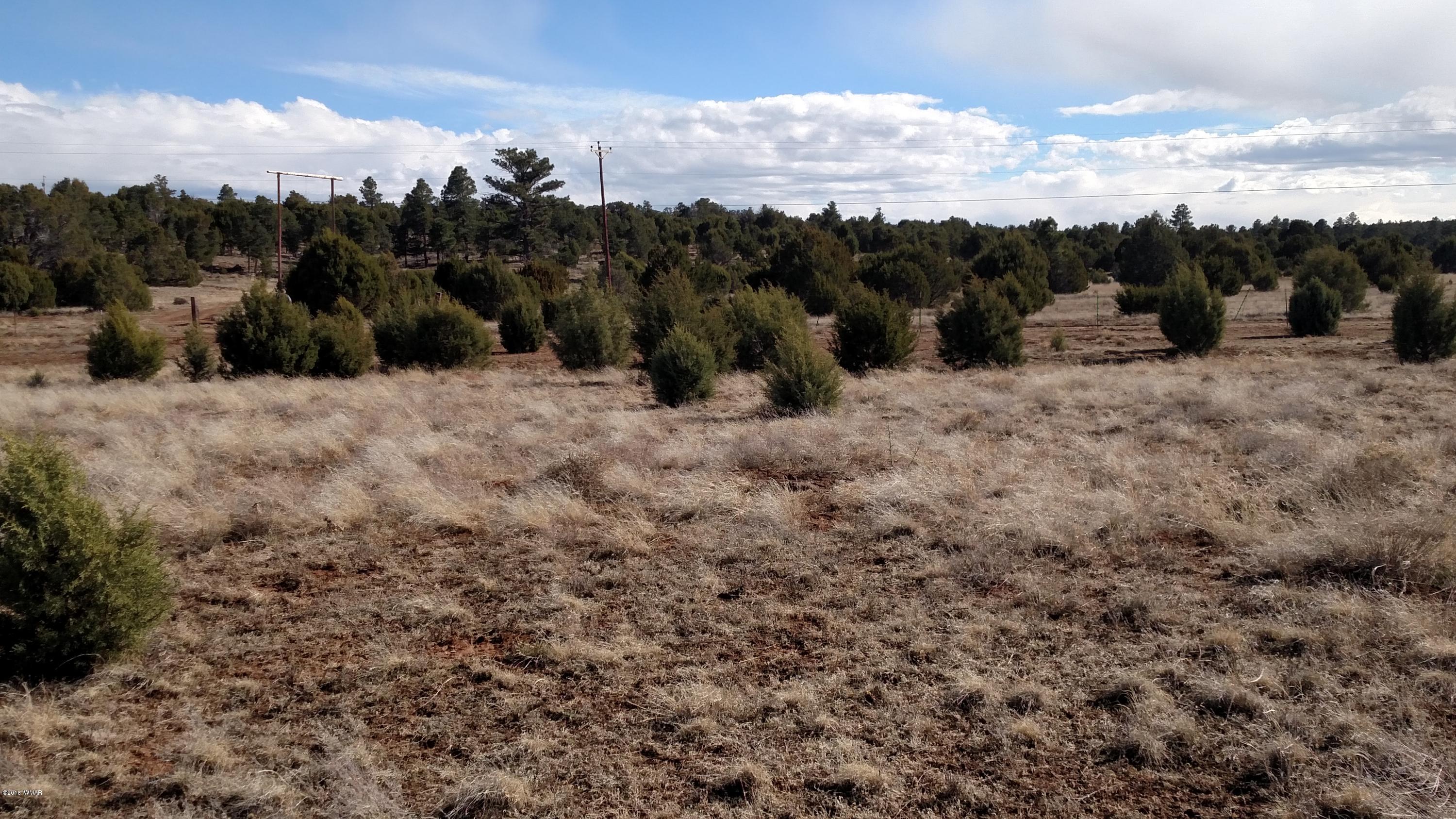 6 B Field Overgaard, AZ 85933 - Photo 10 of 19