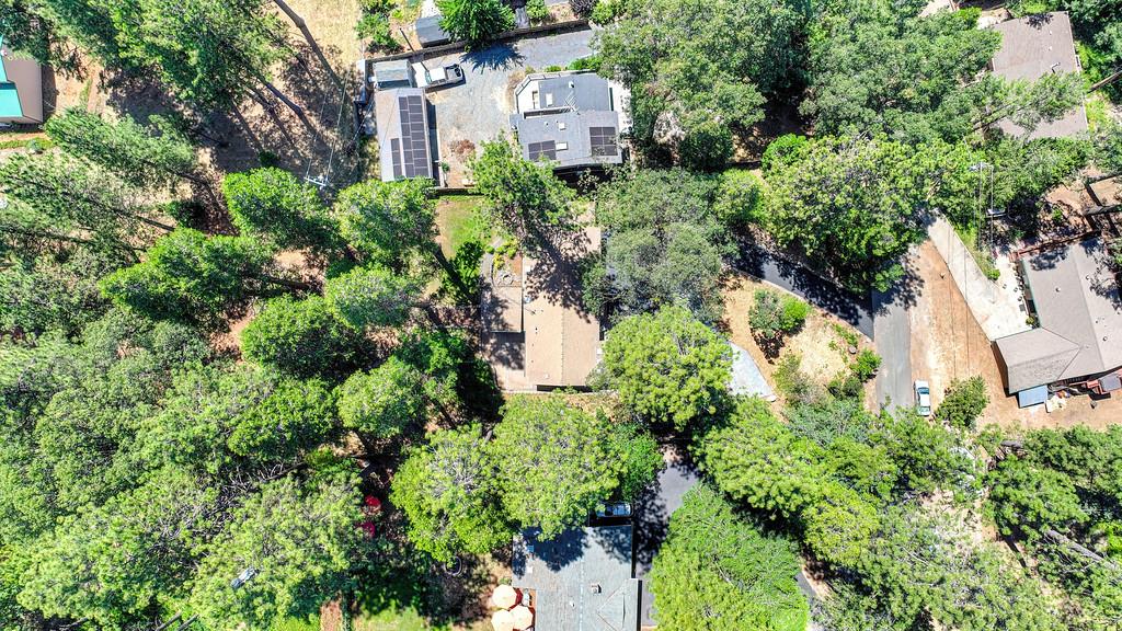 405 Alpine Drive Colfax, CA 95713 - Photo 50 of 59