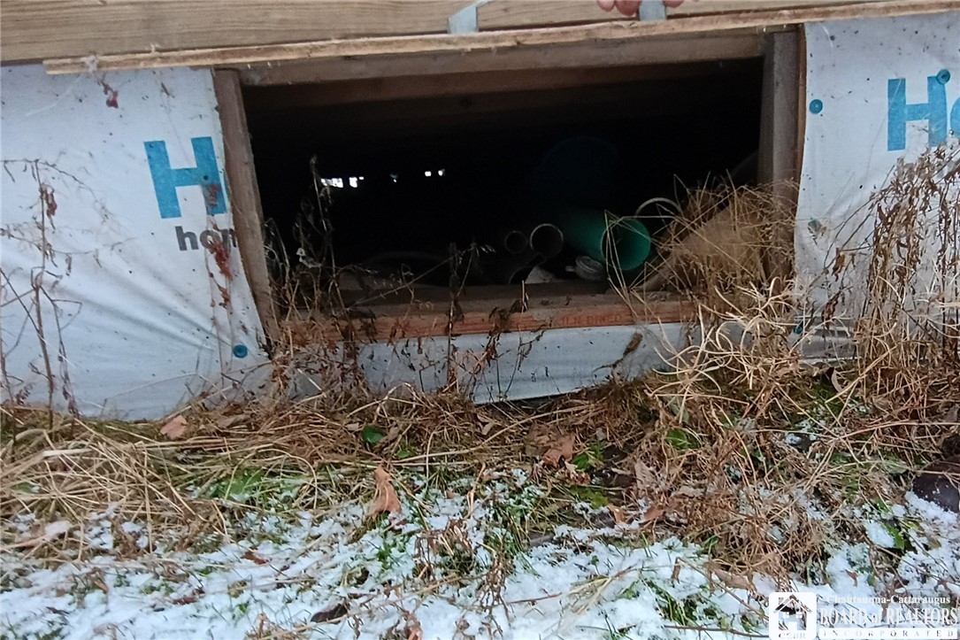4529 Hartigan Road Friendship, NY 14739 - Photo 32 of 43 Entry to crawl space