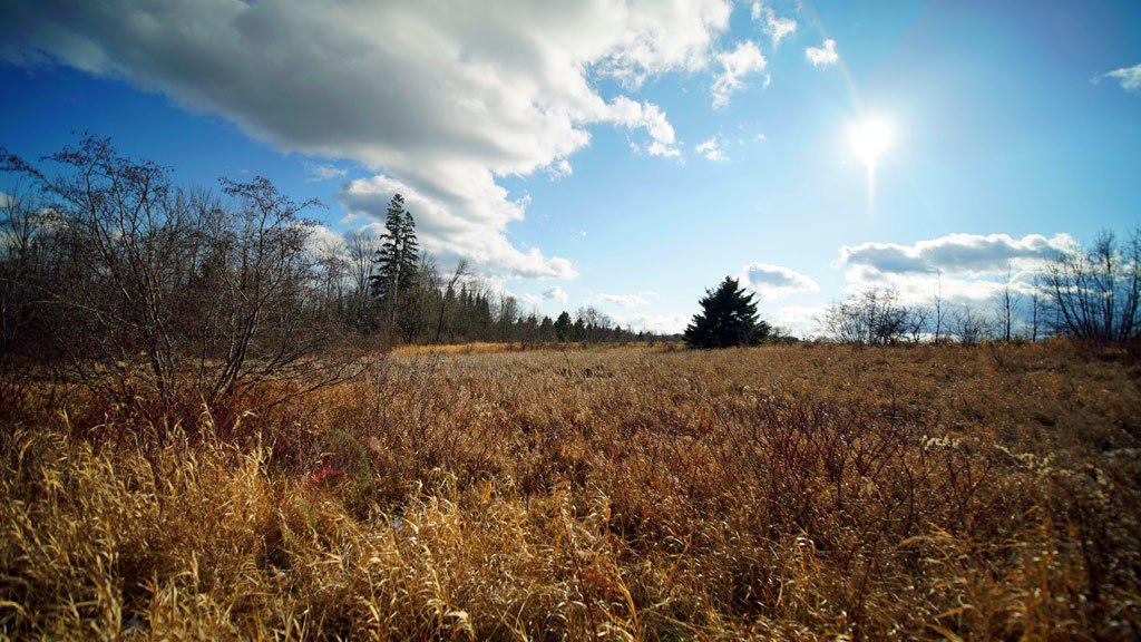 Lot 4.1 Lawlor Ridge Road Benedicta, ME 04733 - Photo 43 of 48 benedicta-me-land-29
