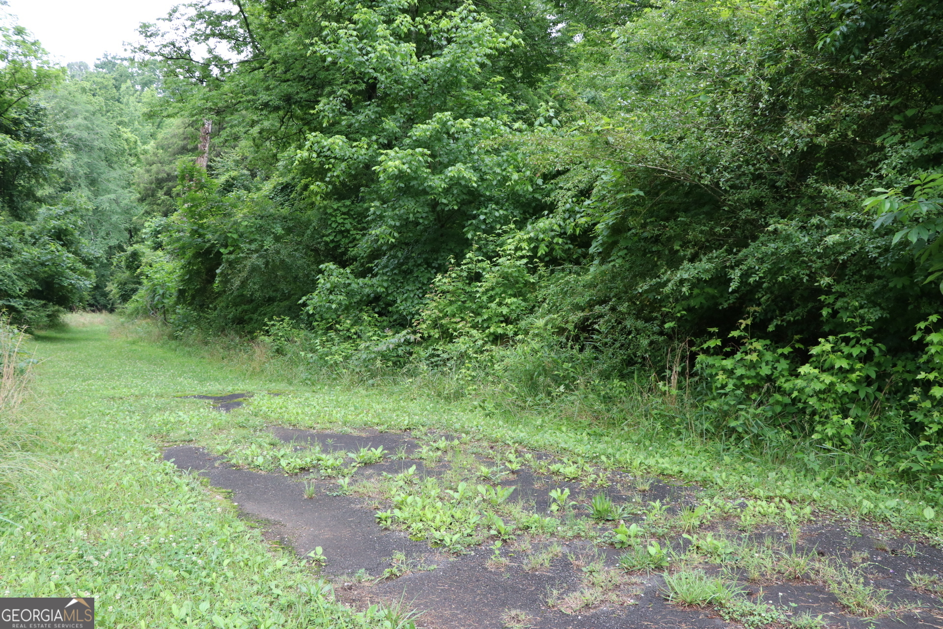 833 Neal Gap Road Summerville, GA 30747 - Photo 17 of 86