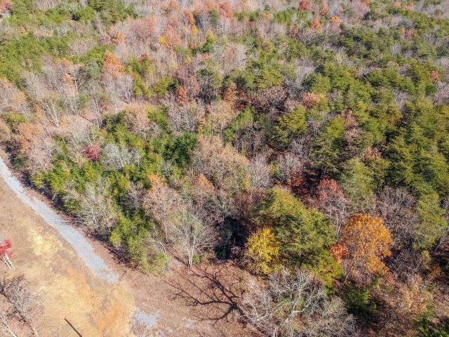 0 Cove Branch Road, Unit LOT 7 OR 8 Dunlap, TN 37327 - Photo 11 of 17 11