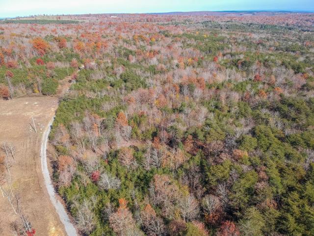 0 Cove Branch Road, Unit LOT 7 OR 8 Dunlap, TN 37327 - Photo 13 of 17 13