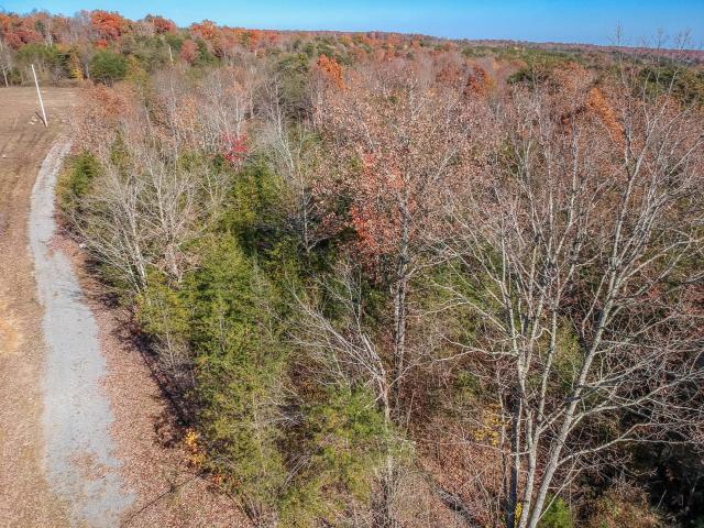 0 Cove Branch Road, Unit LOT 7 OR 8 Dunlap, TN 37327 - Photo 16 of 17 16