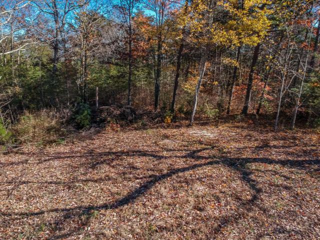 0 Cove Branch Road, Unit LOT 7 OR 8 Dunlap, TN 37327 - Photo 17 of 17 17