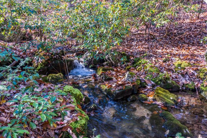 0 Cove Branch Road, Unit LOT 7 OR 8 Dunlap, TN 37327 - Photo 3 of 17 3