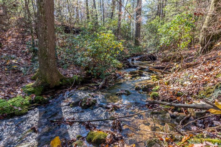 0 Cove Branch Road, Unit LOT 7 OR 8 Dunlap, TN 37327 - Photo 7 of 17 7