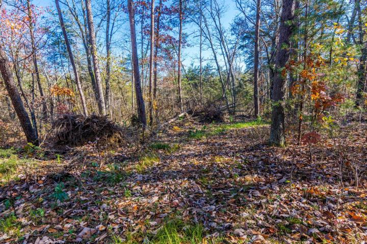 0 Cove Branch Road, Unit LOT 7 OR 8 Dunlap, TN 37327 - Photo 8 of 17 8