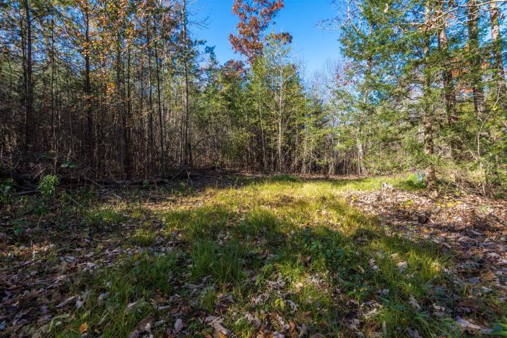 0 Cove Branch Road, Unit LOT 7 OR 8 Dunlap, TN 37327 - Photo 9 of 17 9