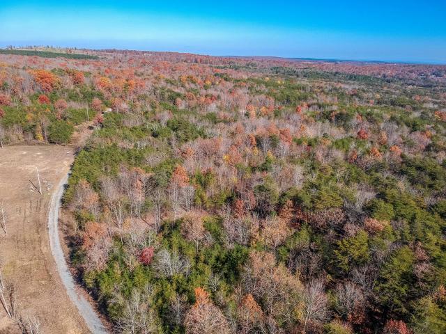 0 Cove Branch Road, Unit LOT 7 OR 8 Dunlap, TN 37327 - Photo 10 of 17 10