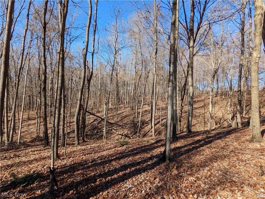 6 County Road Tippecanoe, OH 44699 - Photo 12 of 28 Gallery Image 12