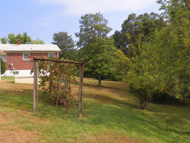 3400 The Great Road Fieldale, VA 24089 - Photo 9 of 14 Fruit Trees
