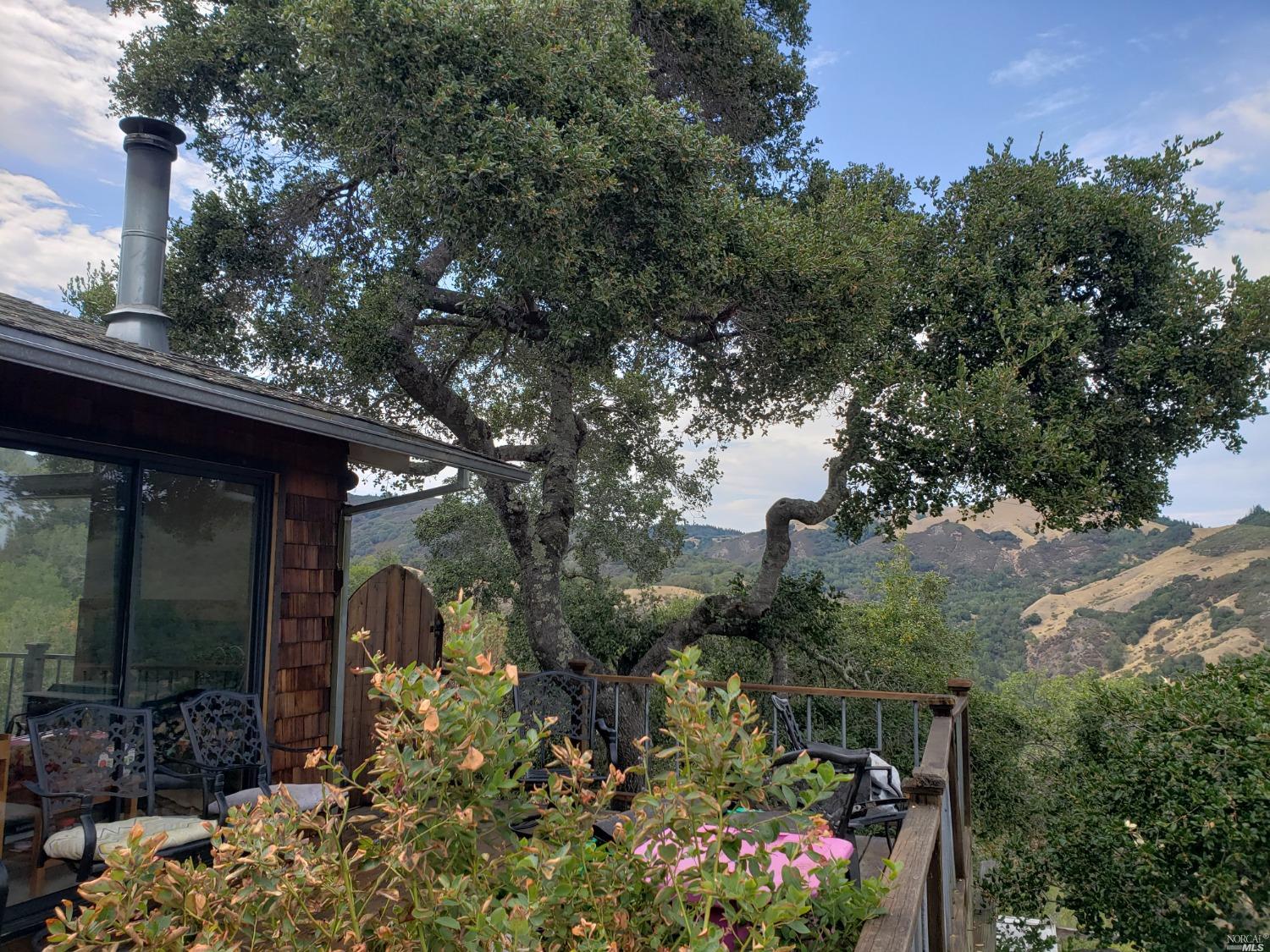 942 Bolinas Road Fairfax, CA 94930 - Photo 1 of 33 a view of a outdoor space