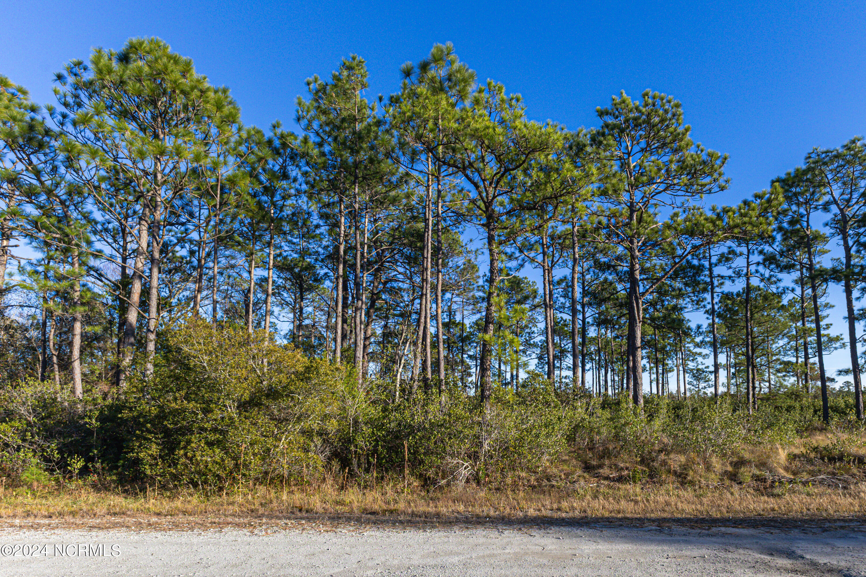 27 Virginia Road Southport, NC 28461 - Photo 5 of 5 Virginia St-2