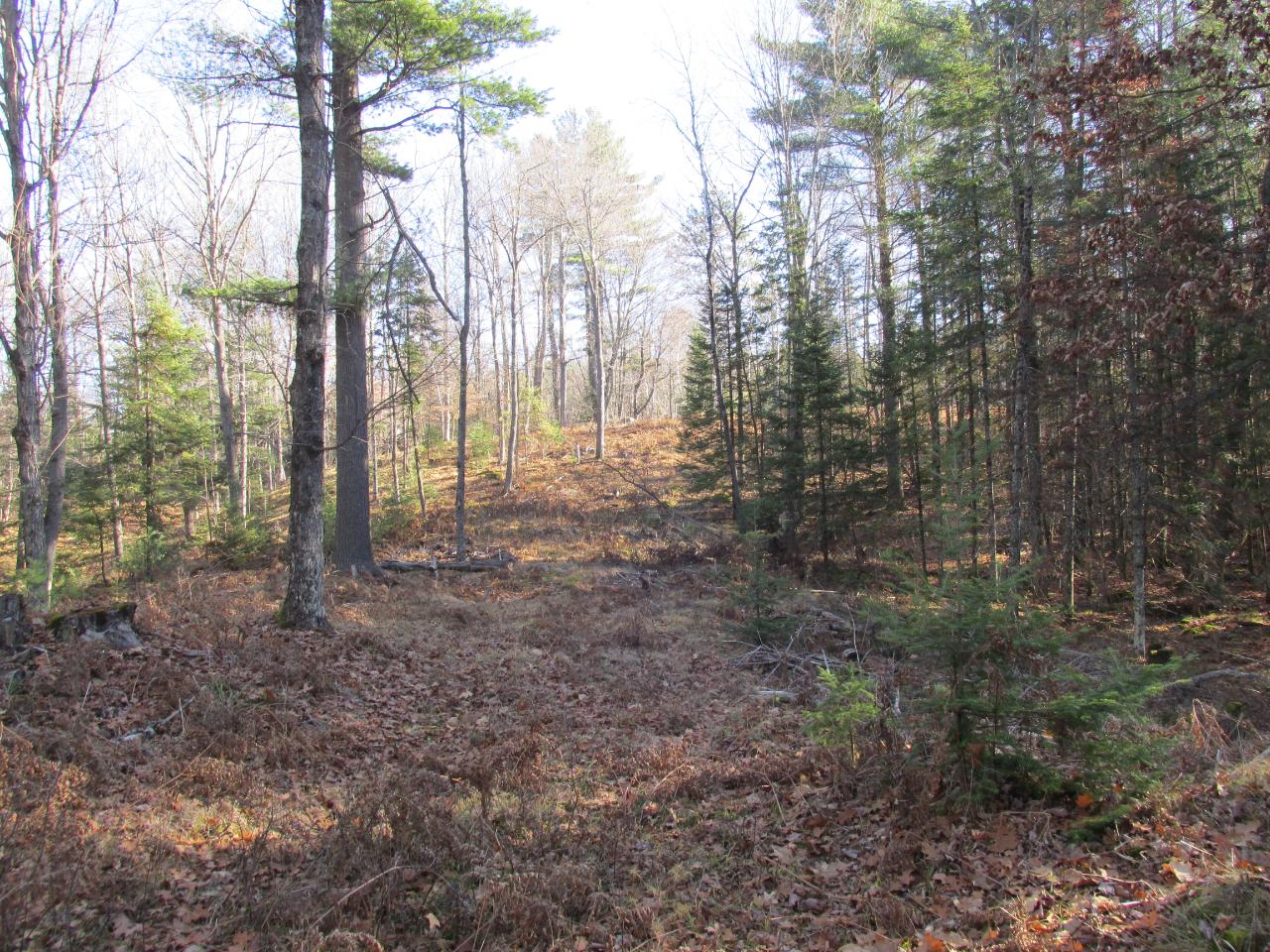 On Wildflower Bay Road Rhinelander, WI 54501 - Photo 10 of 13 Gallery Image 10