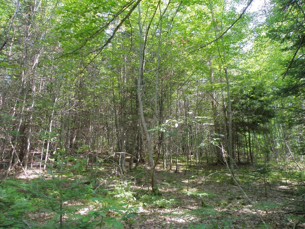 0 Long Ridge Road Burlington, ME 04417 - Photo 11 of 14 Photo