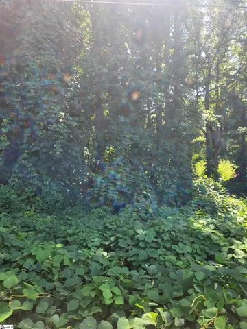 $125,000 | 0 Clark Road, Inman, SC 29349