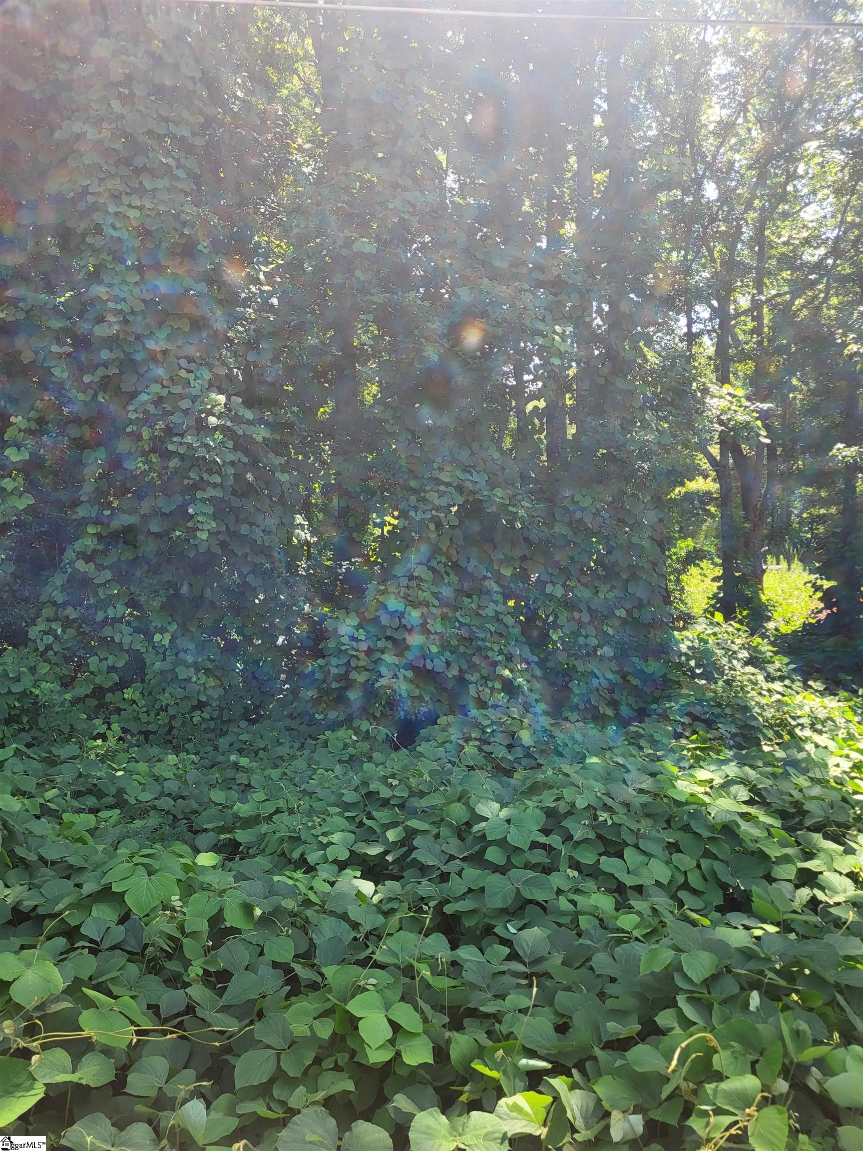 0 Clark Road Inman, SC 29349 - Photo 3 of 3