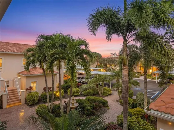 a view of a yard with palm trees