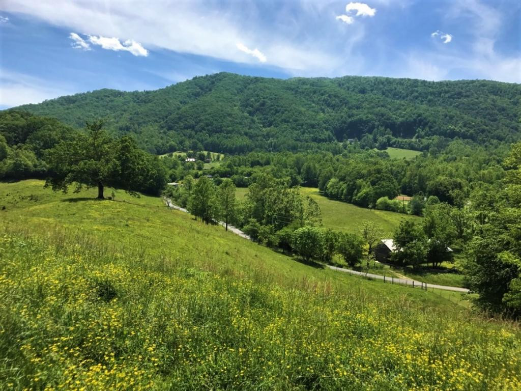 6 South S Highway, Unit 6 Del Rio, TN 37727 - Photo 1 of 1 Photo 1