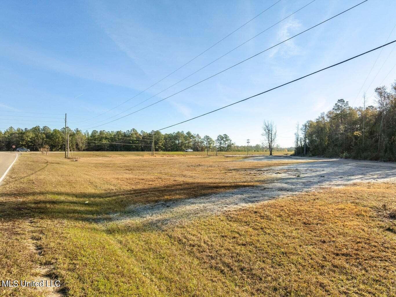 0 Us-98 McLain, MS 39456 - Photo 3 of 11 20251218232050429119000000-o