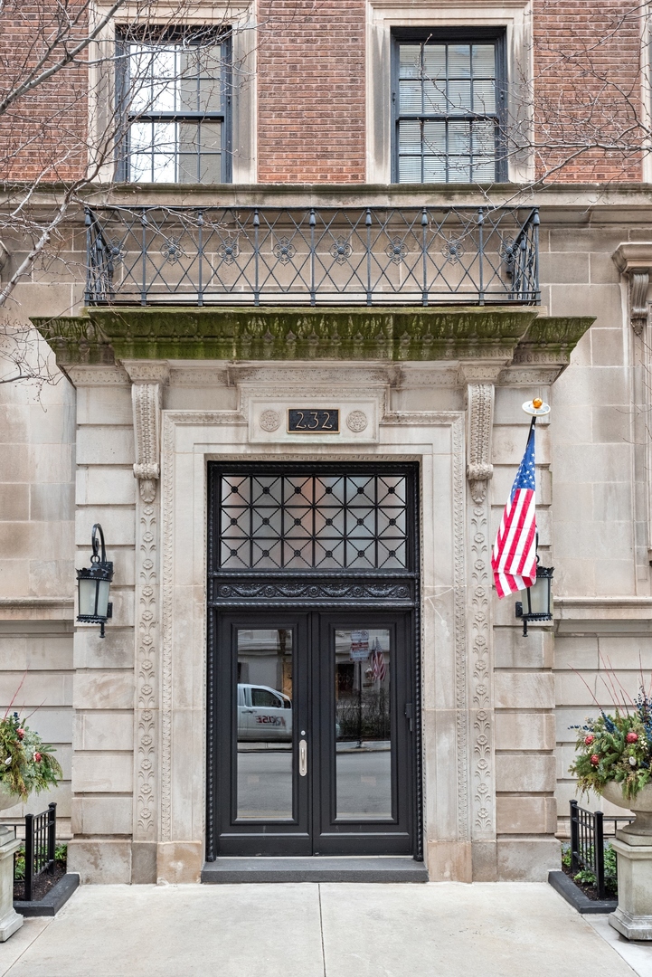 232 East Walton Pl Unit 3W  