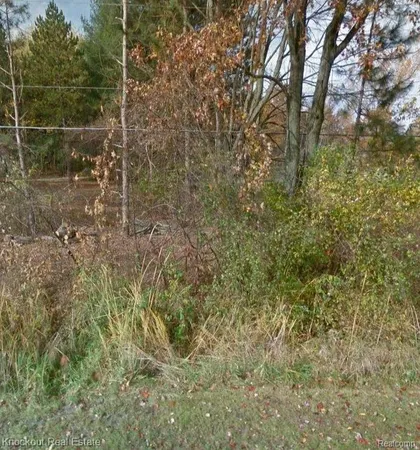 $50,000 | Vl South Gleaner Road, Saginaw, MI 48609