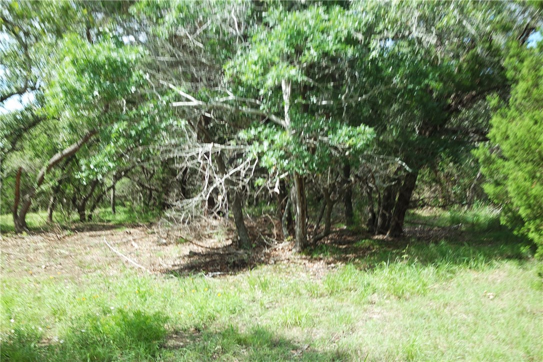 Lot 2 Sawyer Ranch Road Austin, TX 78737 - Photo 1 of 1